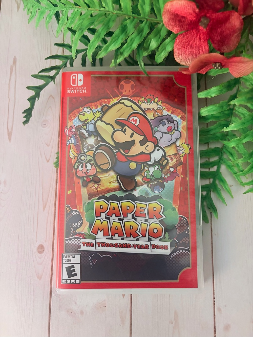 Nintendo Switch “Paper Mario The Thousand-Year Door”